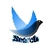 Search web browser